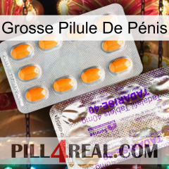 Grosse Pilule De Pénis new12